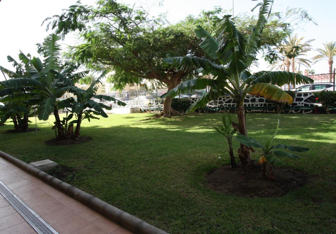Fantastic Apartment With Sea Views ปลายา เดล อิงเกลส ภายนอก รูปภาพ